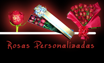 Rosas Impresas Bogotá